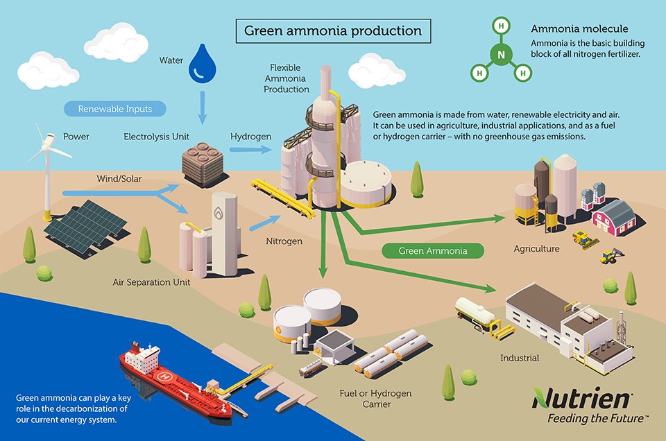 Collaboration Is Key To Our Blue And Green Ammonia Journey  Nutrien