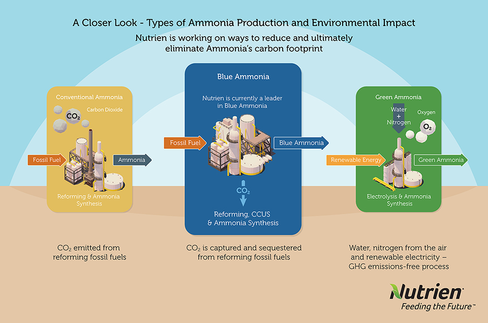 Collaboration Is Key To Our Blue And Green Ammonia Journey  Nutrien