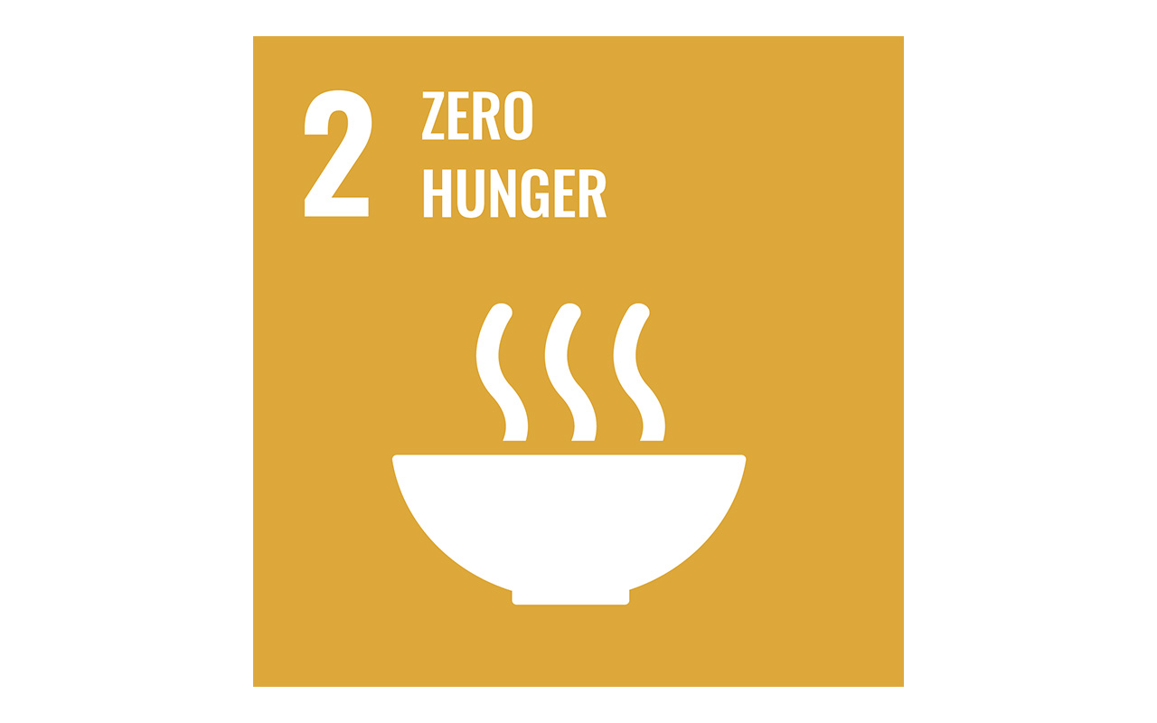 SDG 2 Zero Hunger