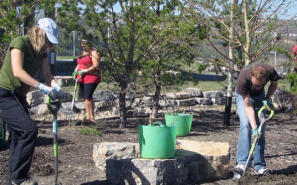 Community Investment
