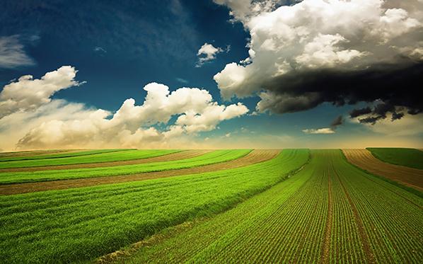 Climate Opportunities