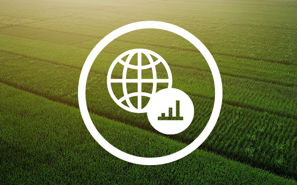 Launch & Scale a Carbon Program