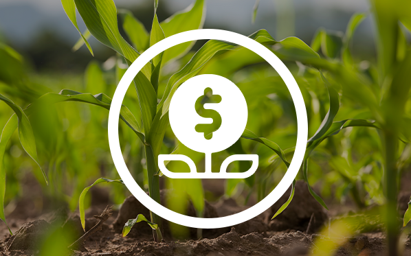 Create New Inclusive Financing