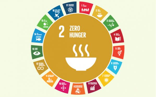 UN Global Goals