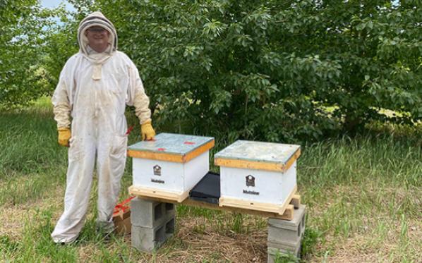 Beekeeper standing next to beehives
