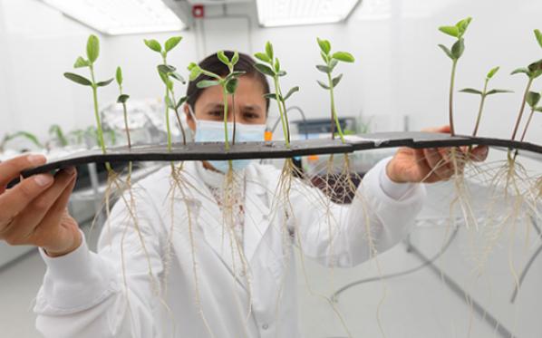 Nutrien and GIFS: growing science for life, together