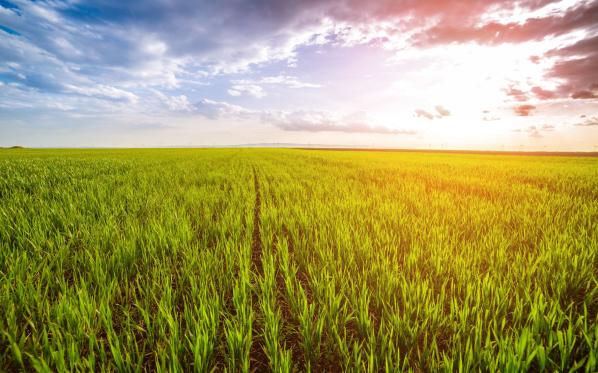 Transforming Agriculture | Feeding The Future | Nutrien