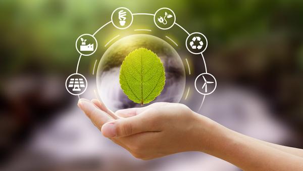 Hand holding leaf with renewable icons surrounding it