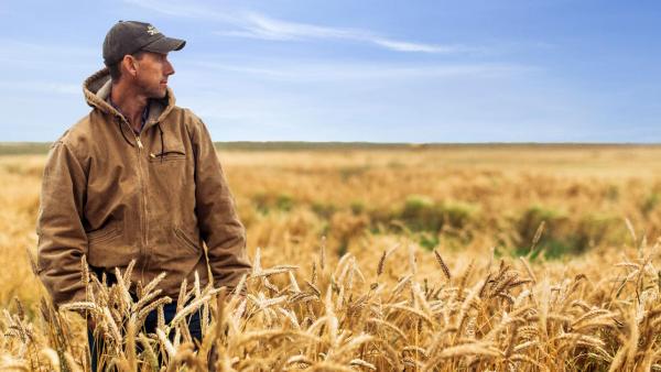 Farmer looks across a field